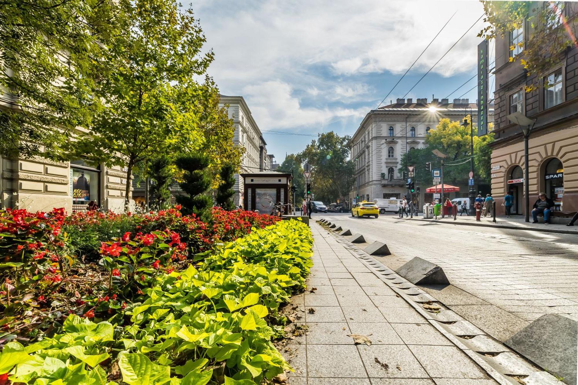 Cozy Little Flat In The City Center Budapeste Exterior foto